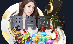 刘伯温澳门费料资大全版V