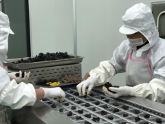 财产研究 · 冰雪容九华黄精财产成长劣势解析